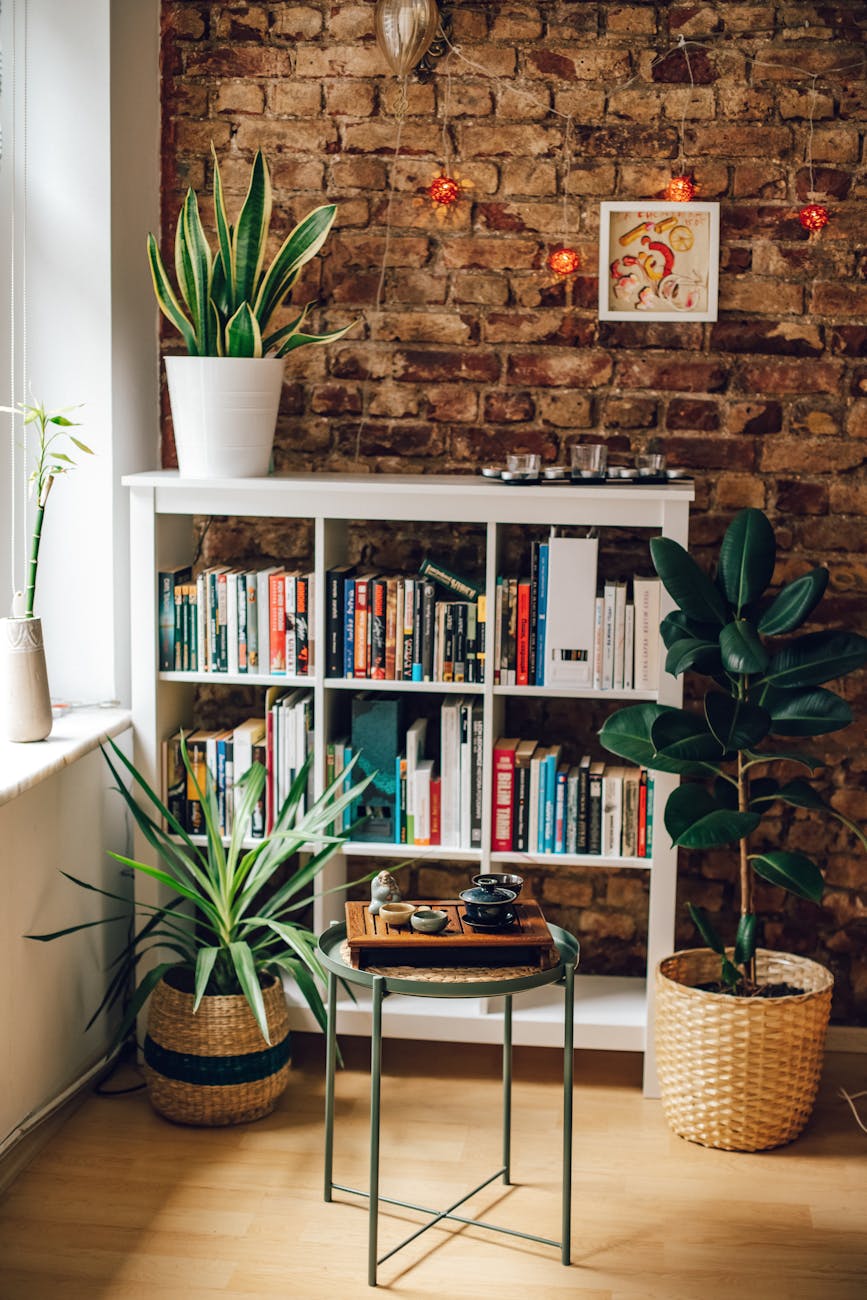 bookcase standing on the corner with houseplants around